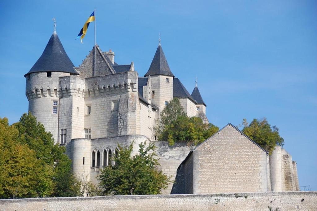 Chambres D'Hotes Chateau De La Motte Usseau  Экстерьер фото